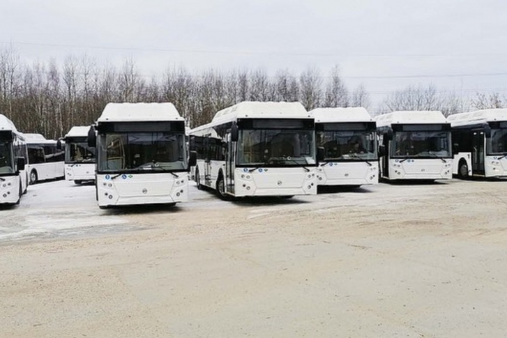 Автобусы будут работать на экологическом топливе