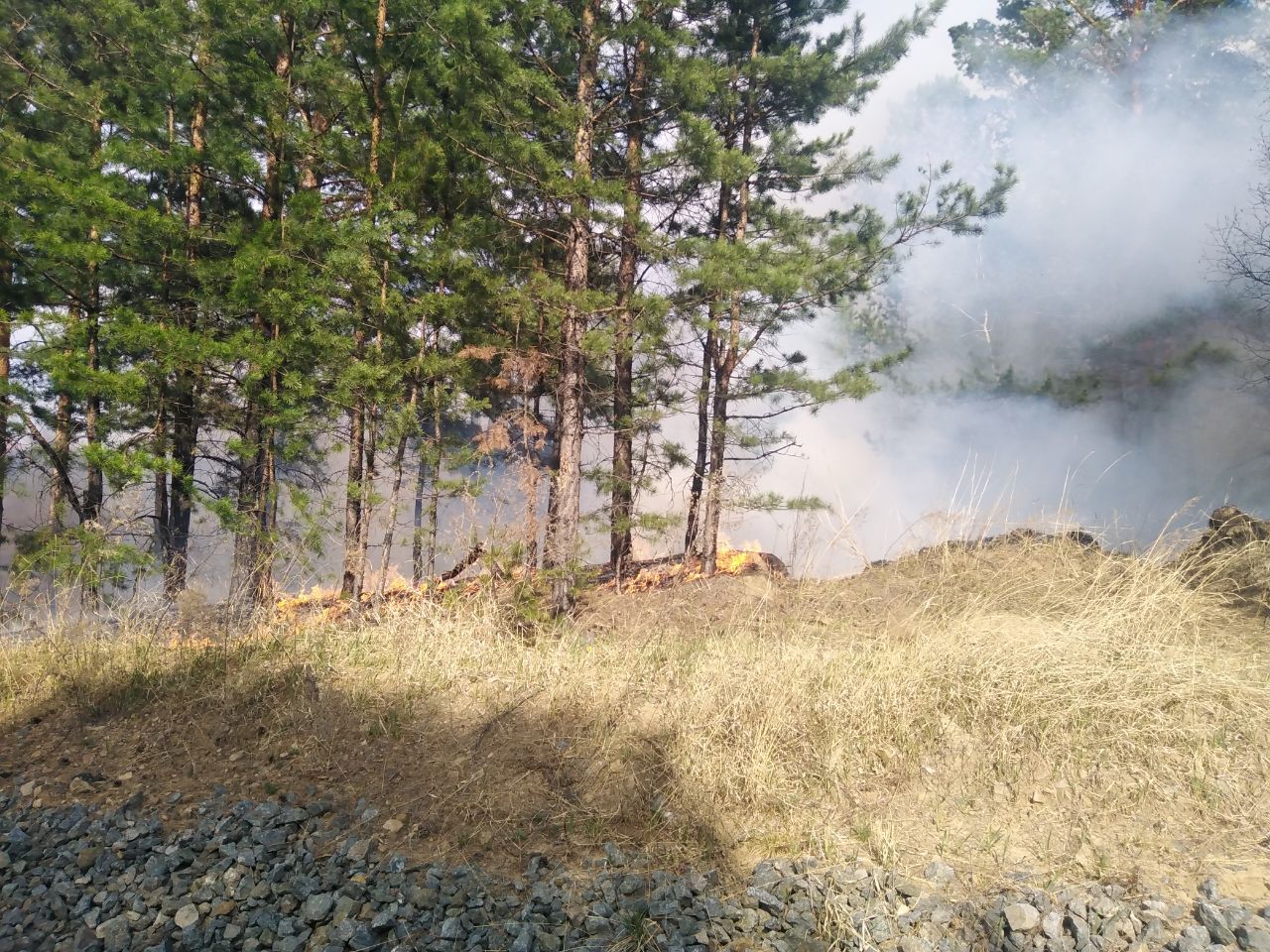 Площадь лесного пожара рядом с Дарасуном выросла в 20 раз за полдня — огонь локализовали