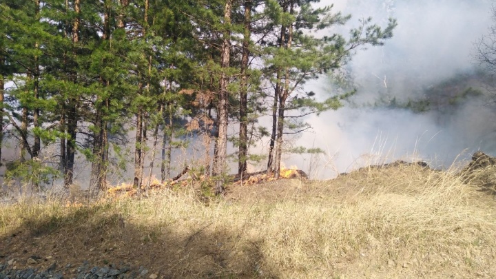 Площадь лесного пожара рядом с Дарасуном выросла в 20 раз за полдня — огонь локализовали