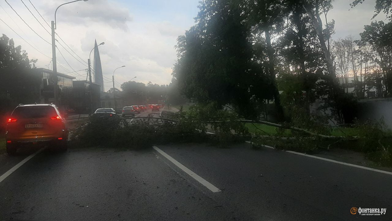 В питере прошел ураган. Ураган в Санкт Петербурге. Ураган фото. Ураган в Петербурге вчера. Ураган в Санкт-Петербурге 18 июня 2020.