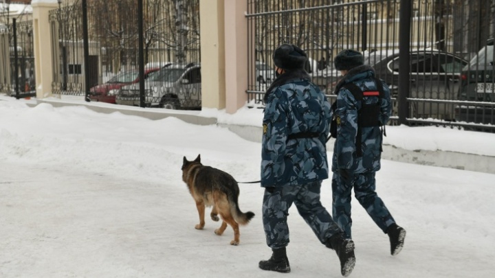 Бомб не нашли, но детей эвакуировали. Все о массовом «минировании» учебных заведений Екатеринбурга