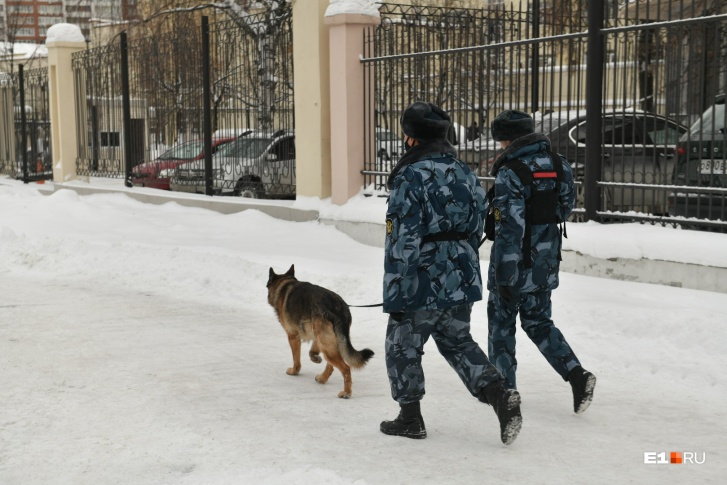 «Атаку организовали из-за кордона»: Свердловские полицейские подвели итог проверкам учебных заведений