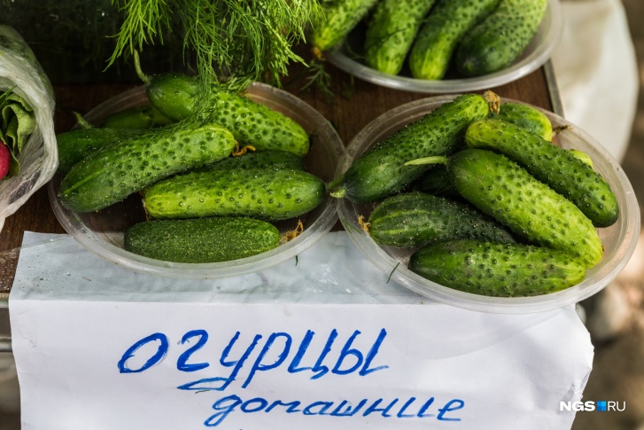 В некоторых огурцах есть специальный ген горечи, который передается из поколения в поколение В некоторых огурцах есть специальный ген горечи, который передается из поколения в поколение