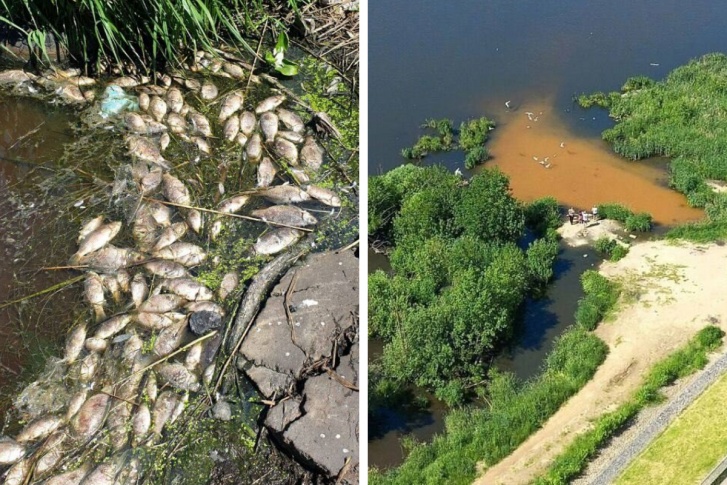 Жители Люберец забили тревогу из-за загрязнения воды Жители Люберец забили тревогу из-за загрязнения воды