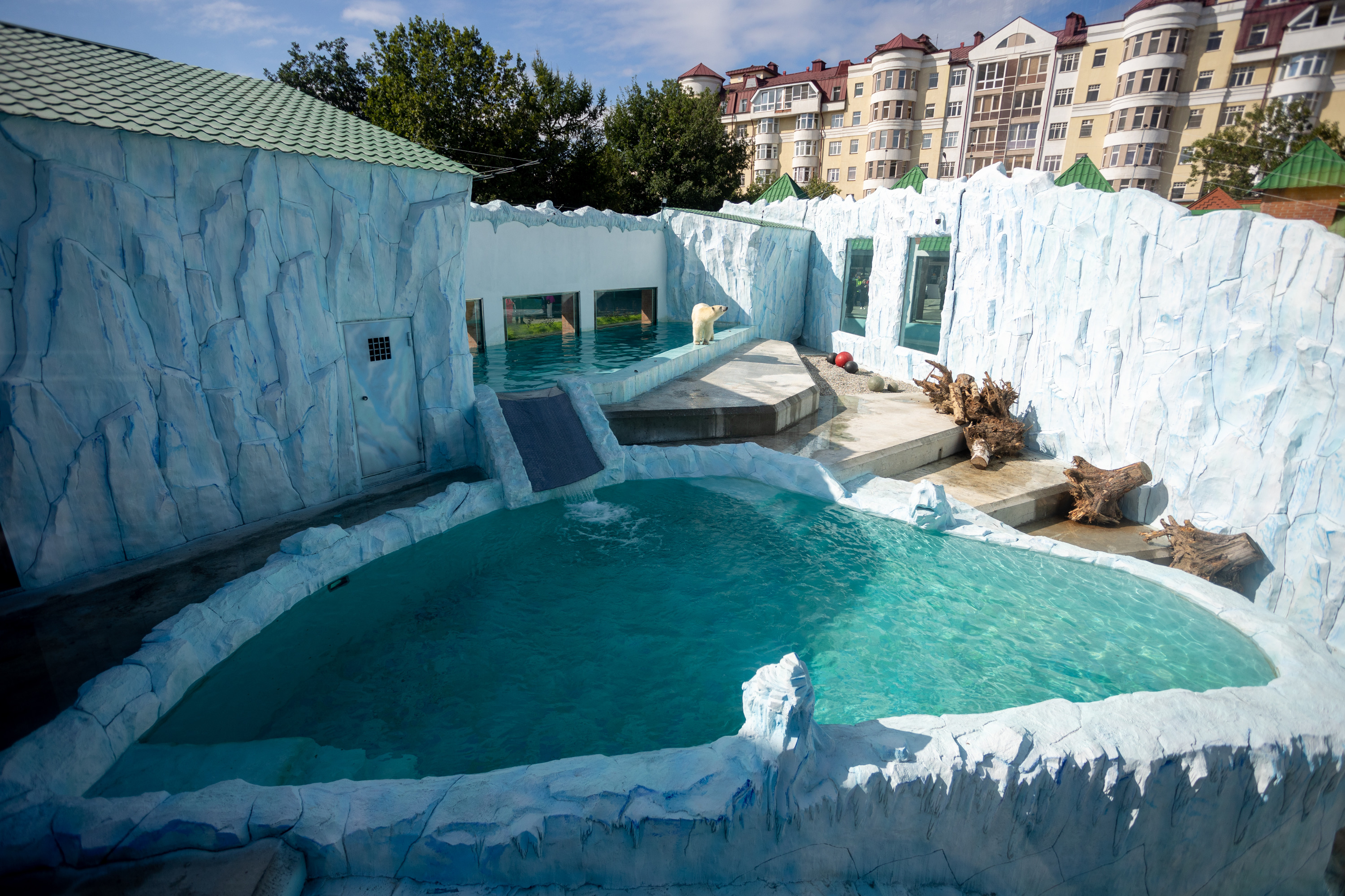 Дворец для Хатанги: показываем, как выглядит новый вольер для белых медведей в зоопарке Екатеринбурга