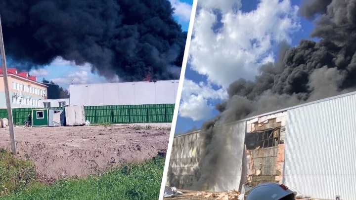 «Ущерб от огня незначителен»: в УЛК прокомментировали пожар на заводе в Вельске