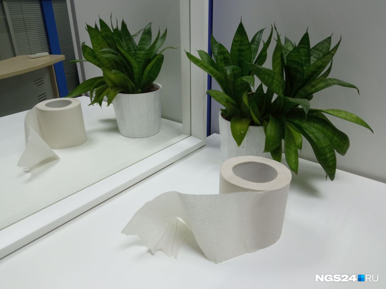 Токсичная и непрочная: в Красноярске всего два образца туалетной бумаги прошли испытания