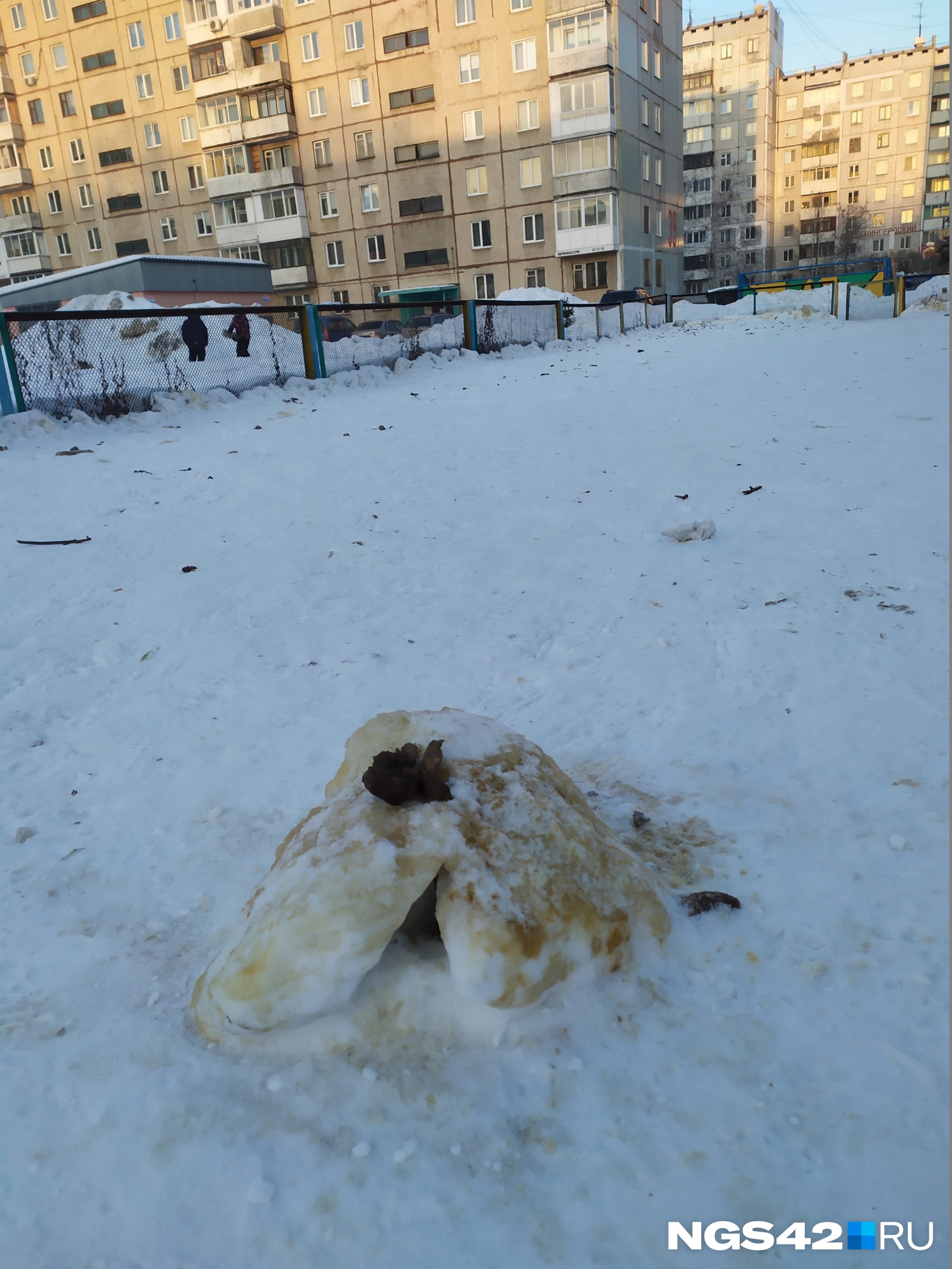 Уборкой территорий для выгула если и занимаются, то крайне редко Уборкой территорий для выгула если и занимаются, то крайне редко