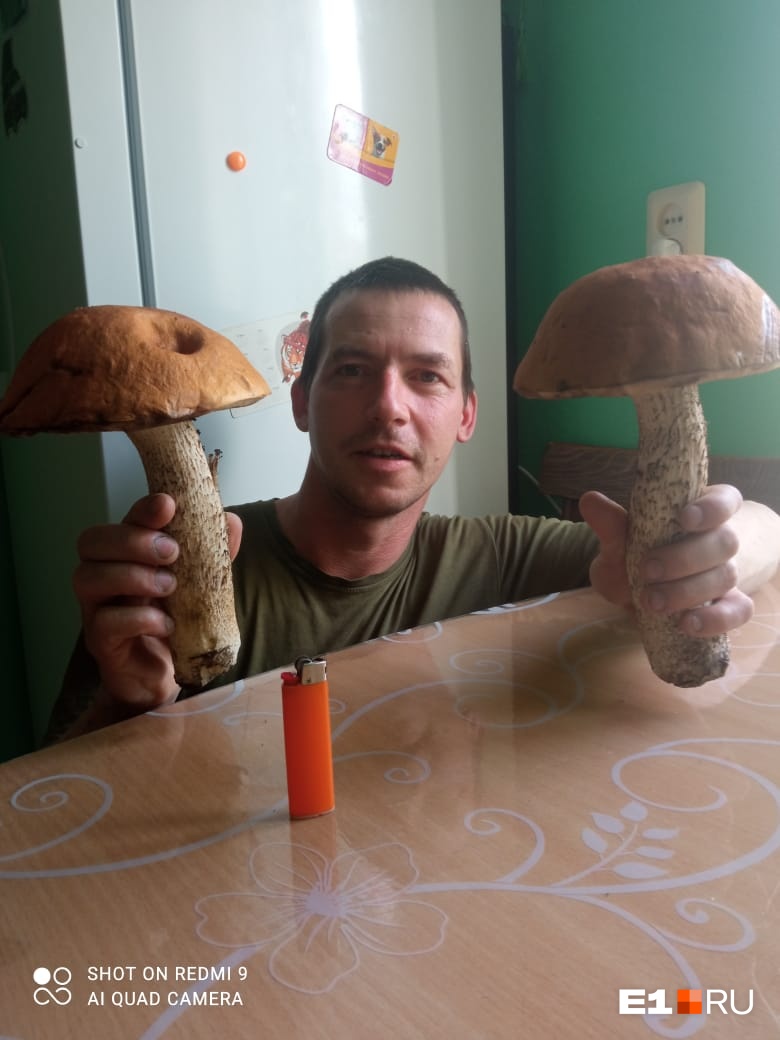 Семья впервые собрала такие большие грибы