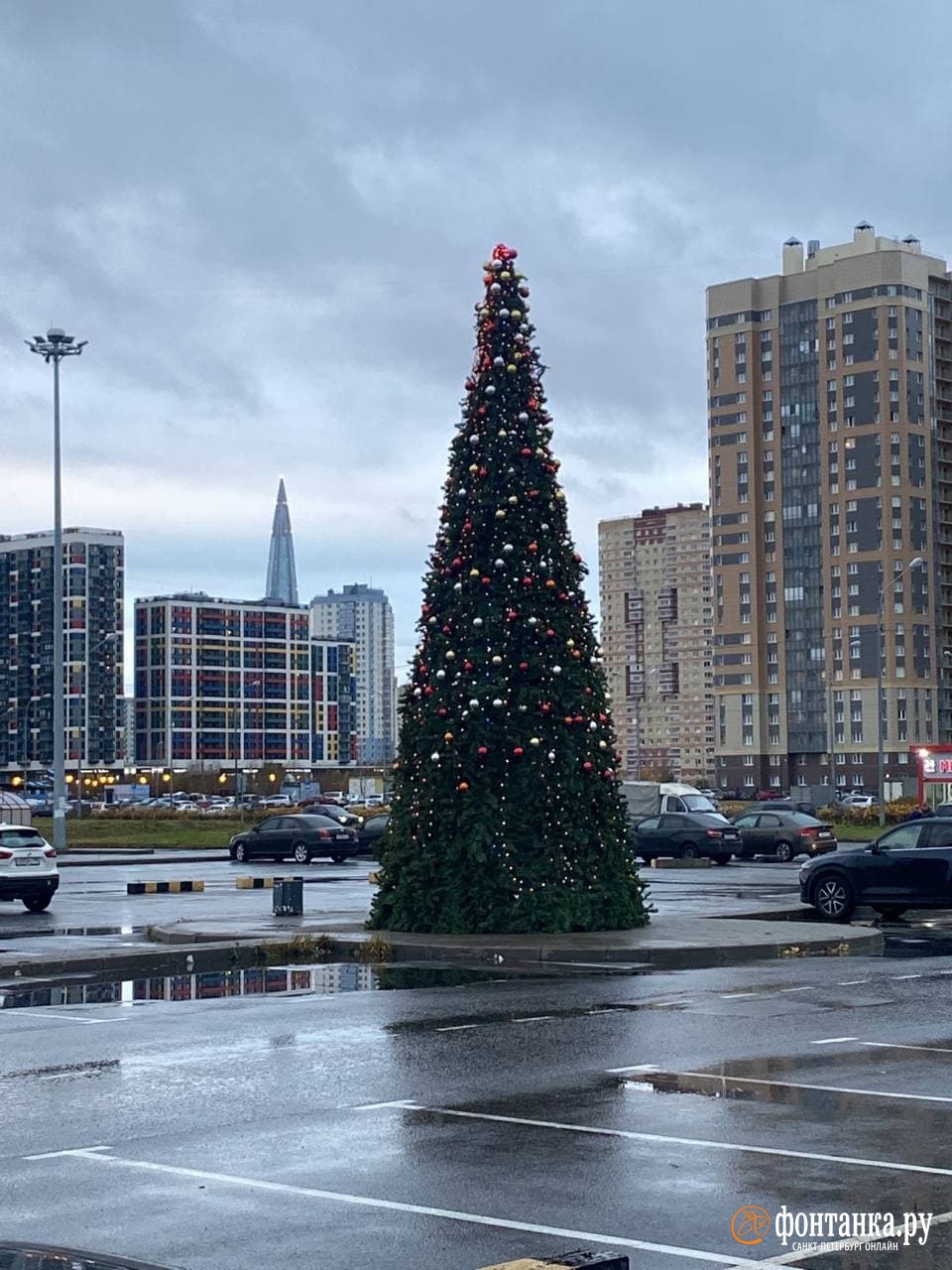 До Нового года всего ничего. В Петербурге заметили первую наряженную елку