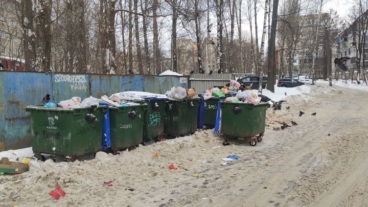 «700-килограммовый бак тащили на себе»: в Ярославле из-за снегопадов не могут вывезти мусор из города