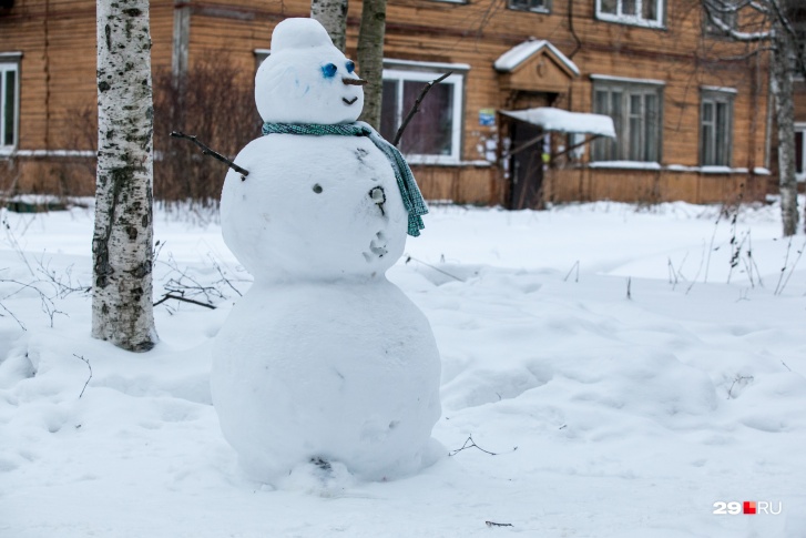 В последние годы зимы в России становятся всё теплее — об этом говорят и синоптики, и климатологи