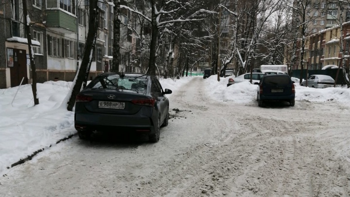«Не нужны залитые асфальтом тротуары»: в Ярославской области власти начали готовить дворы к ремонту