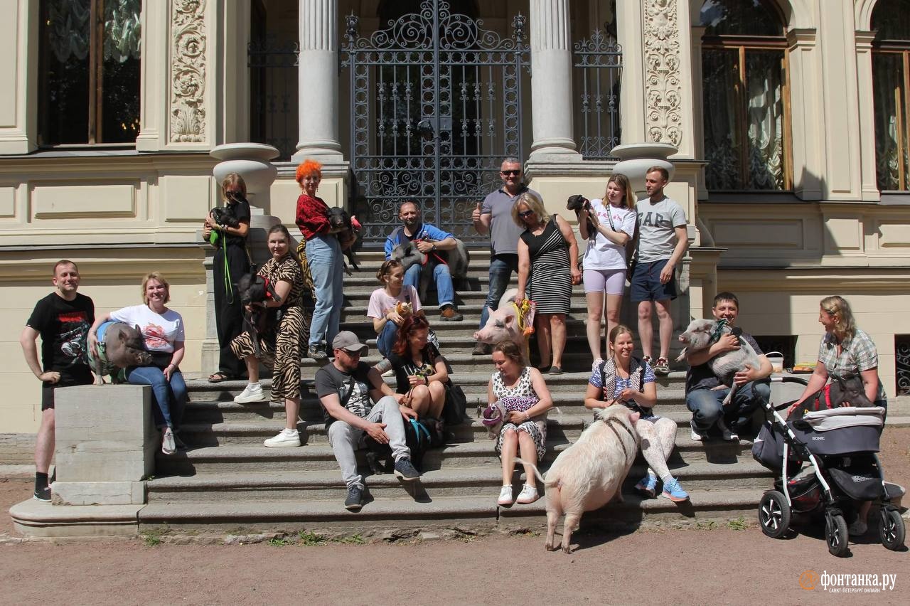 алексеевский сад санкт петербург