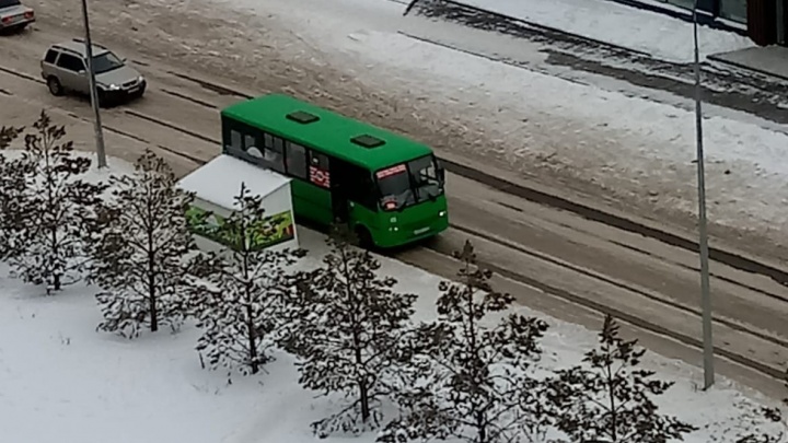 Новые маршруты дороже привычных: власти установили цены в автобусах, которые запустили с 1 января