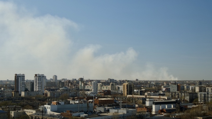 В пригороде Челябинска разгорелись крупные природные пожары