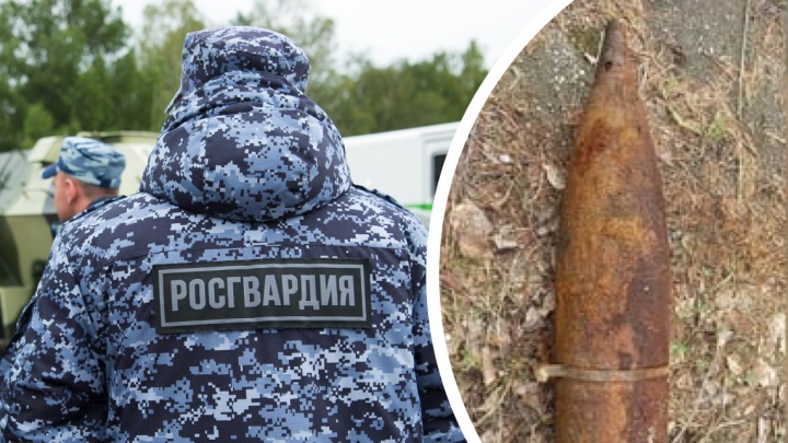 В Свердловской области обнаружили боевой снаряд. Он мог взорваться в любой момент