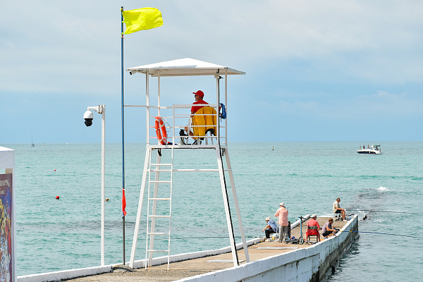 На пляжах Сочи работают сегодня более 700 видеокамер и столько же аттестованных спасателей