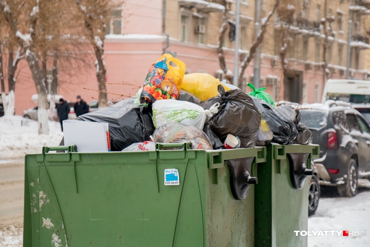 Вывозом мусора в Тольятти занялась самарская компания