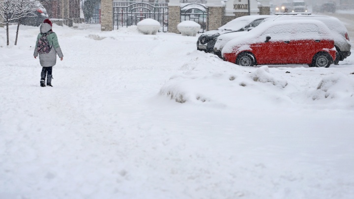 «Будет тепло»: народный синоптик Илья Винштейн рассказал о погоде в феврале в Кургане
