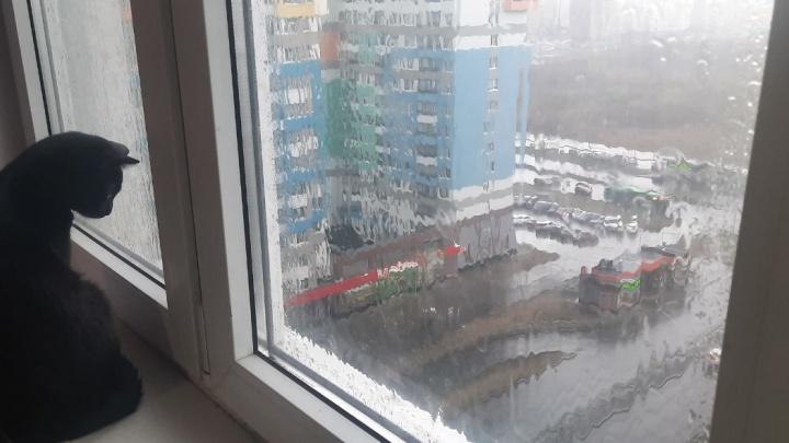 Готовьтесь к сильному шторму. Онлайн о непогоде в Екатеринбурге