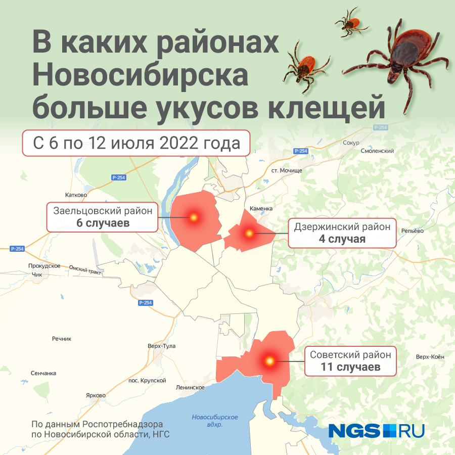 Клещи в новосибирске 2024