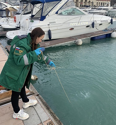 При затоплении маломерного судна в порту Сочи в море попали нефтепродукты