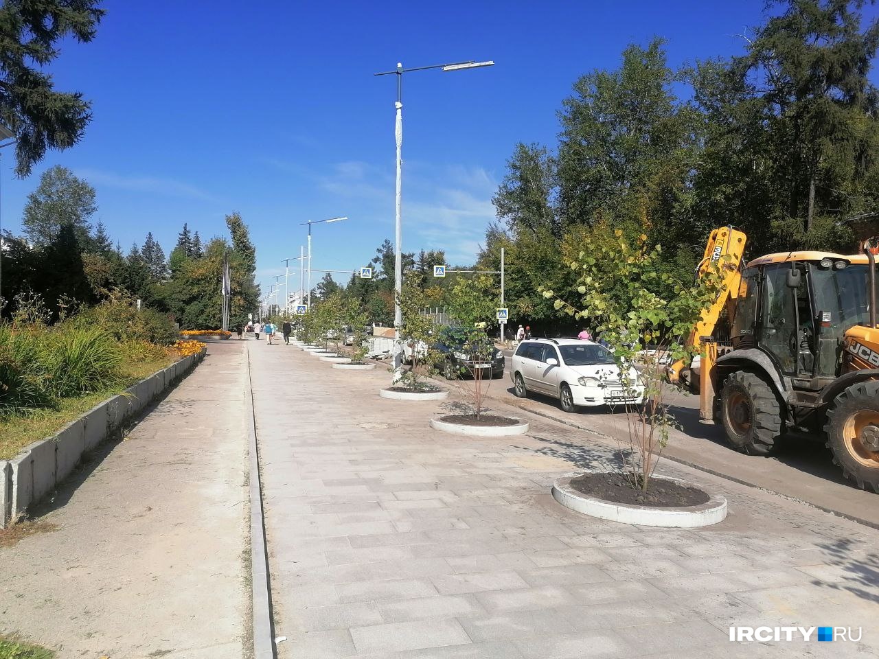 На ул. Карла Маркса в Иркутске начали высаживать 2-метровые саженцы, хотя мэр обещал 5-метровые деревья