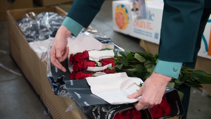 Никакого праздника: в Екатеринбурге отменили рейс с тоннами цветов к 8 Марта