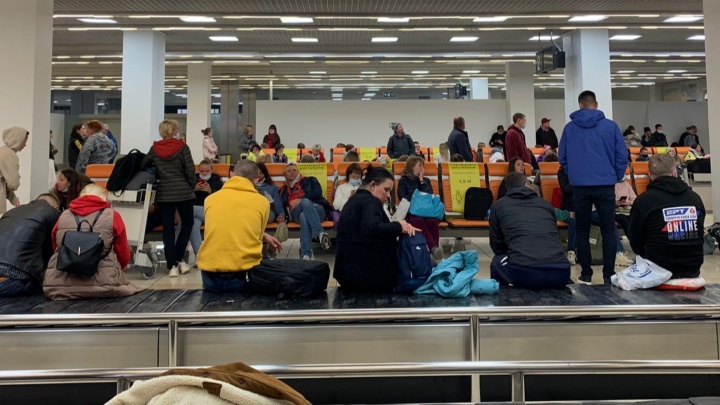 «Не могут вытащить чемоданы». Екатеринбуржцы застряли в зоне выдачи багажа аэропорта Кольцово