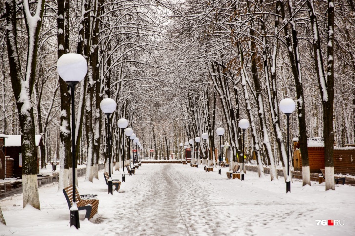 На этой неделе в Ярославле будет морозно и солнечно