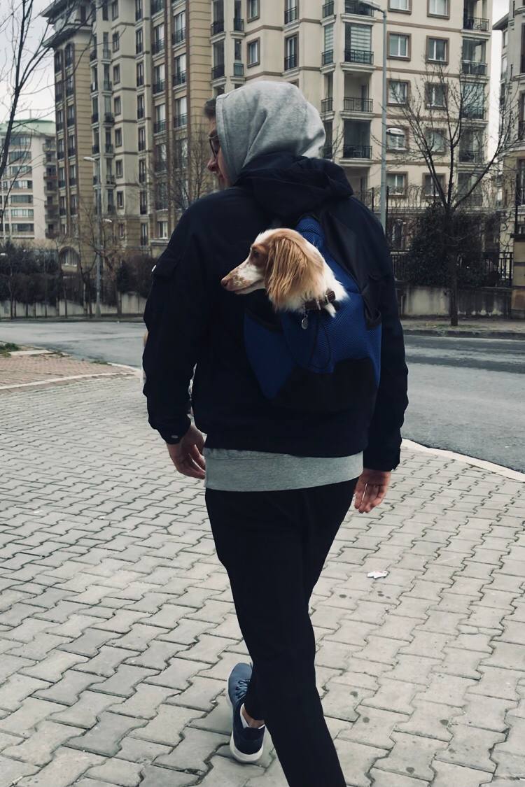 Это Томми уже после переезда Это Томми уже после переезда