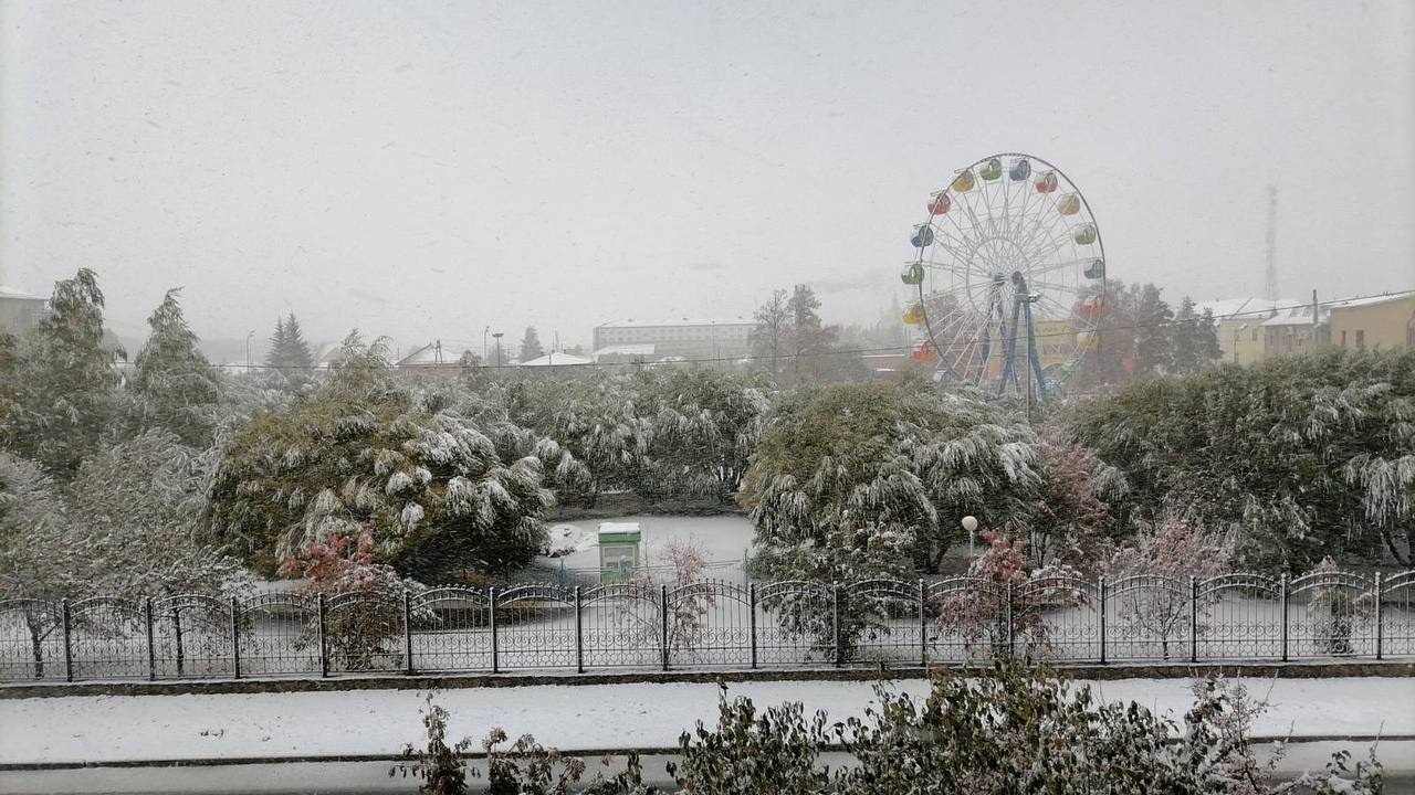 Белые «пальмы» и первые снеговики: юг Тюменской области накрыло снегом — фотоподборка