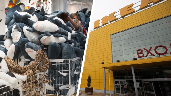 10 миллионов за акулу из IKEA: как москвичи пытаются навариться на закрытии сети