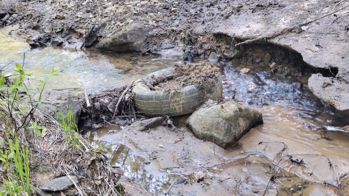 Десятки покрышек обнаружили читинцы в лесу и реке. Убирать их обязано Минобороны