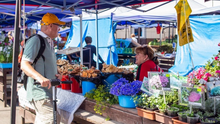 На ярмарку за грибами и ягодами: сколько стоят на центральном рынке Иркутска дары природы?