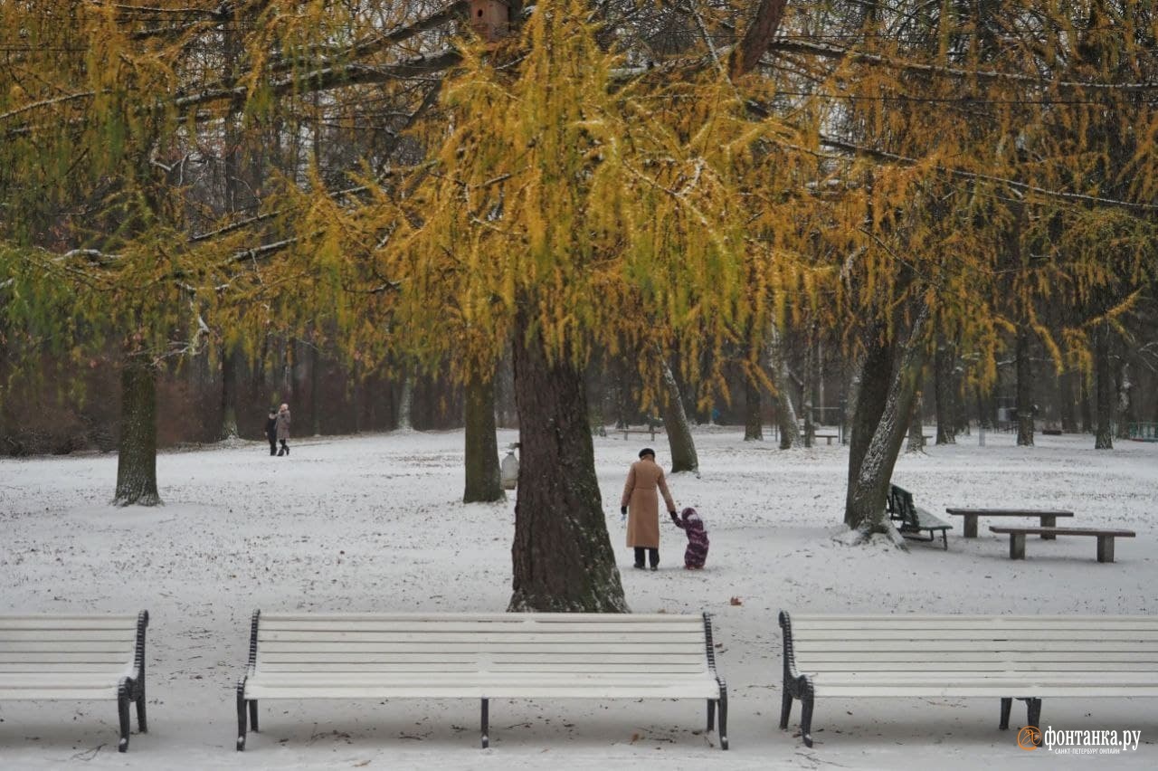 Ощущение зимы. В Петербурге снег и метель