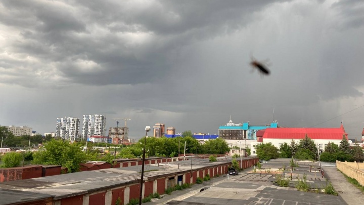 Тяжелые облака, грохот и град. Как бушует непогода в Тюменской области — фотоподборка