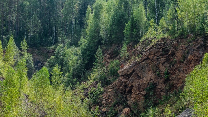 Из-за аномальной жары в Пермском крае до 15 июля ограничили посещение лесов