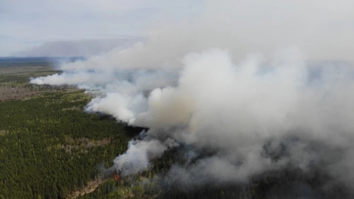 В Тюменской области будут платить за доносы на поджигателей леса