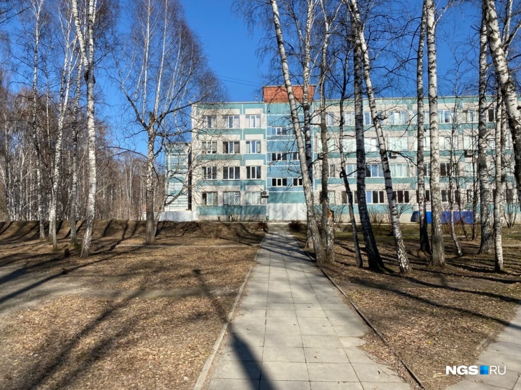 Директор «Горностая» зарабатывает больше других руководителей школ Новосибирска — 146 тысяч в месяц