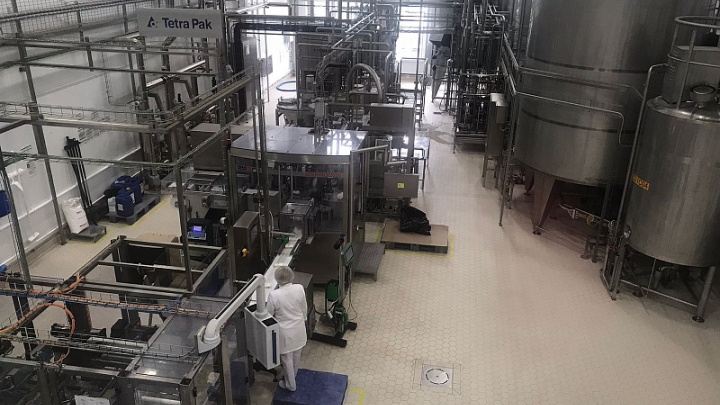 Сыродельный завод Кубани подвел итоги реализации нацпроекта «Производительность труда»