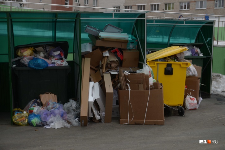 За несвоевременную уборку мусора теперь управляющим компаниям грозят повышенные штрафы