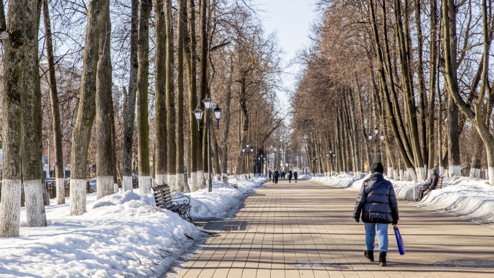 Гулять стало удобнее: в Ярославле началась активная уборка тротуаров