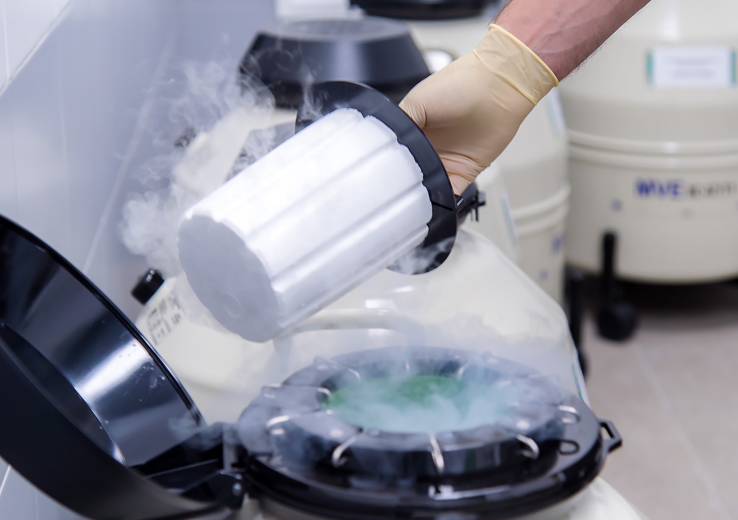 Криоконсервация — заморозка яйцеклеток для использования в будущем — проходит с использованием жидкого азота