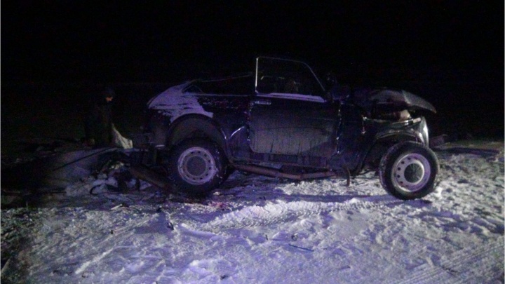 На трассе в Зауралье «Нива» попала под фуру, погиб водитель