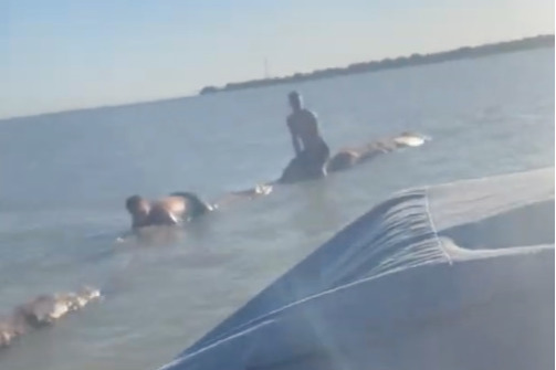 Парней унесло на бревне Парней унесло на бревне