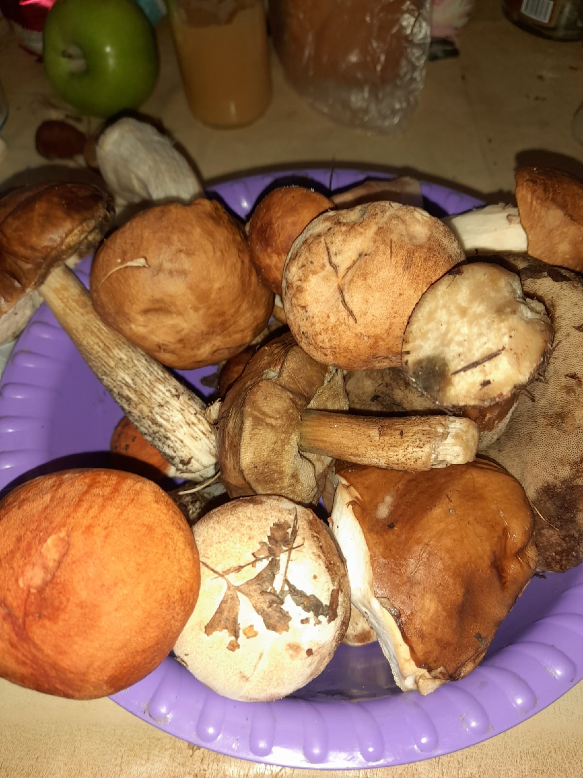 Много грибов появляется в Асбесте