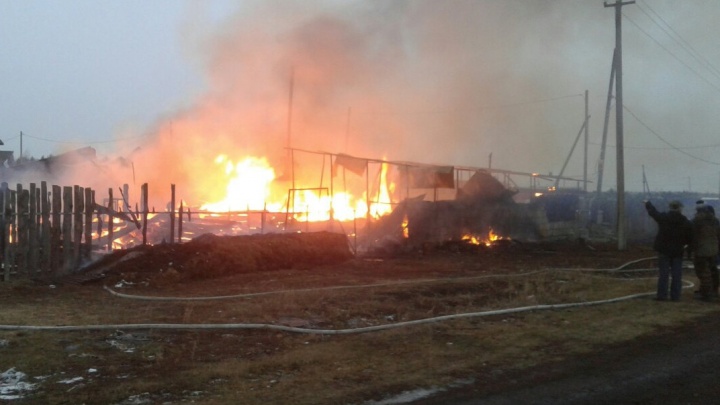 «Привезли детей на дистант в деревню»: в Челябинской области сгорел дом многодетной семьи