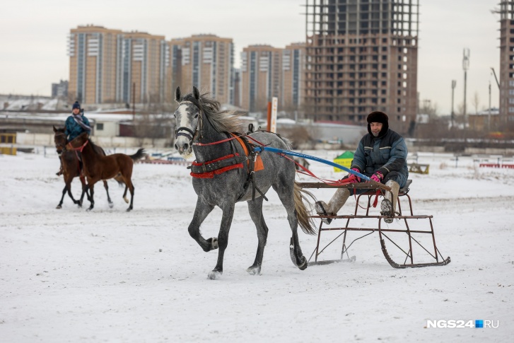 Красноярский ипподром на Дудинской расселяют — власти